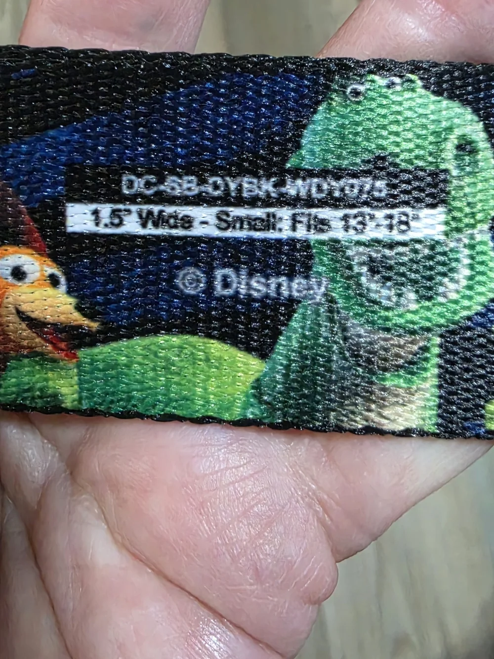 Buckle Down Disney Toy Story Collar And Leash Bundle
